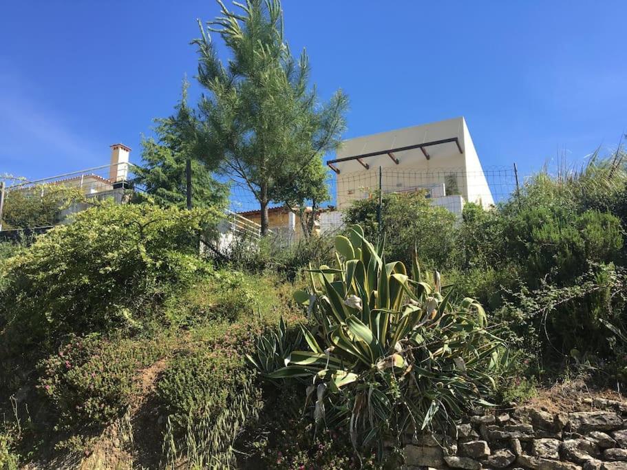 A Casa Da Lua Villa Tomar Luaran gambar
